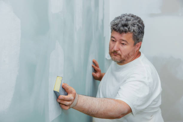 Best Water-Damaged Drywall Repair  in Crystal Falls, MI